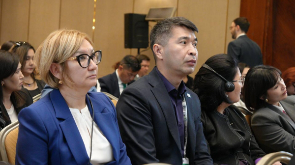 Материнская смертность в Казахстане снизилась на 35% за пять лет - Минздрав