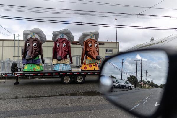 Падший ангел и лягушка с приветом: забавные фотоновости со всего света