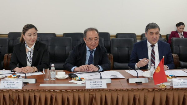 Казахстан и Кыргызстан усиливают сотрудничество в социально-трудовой сфере
