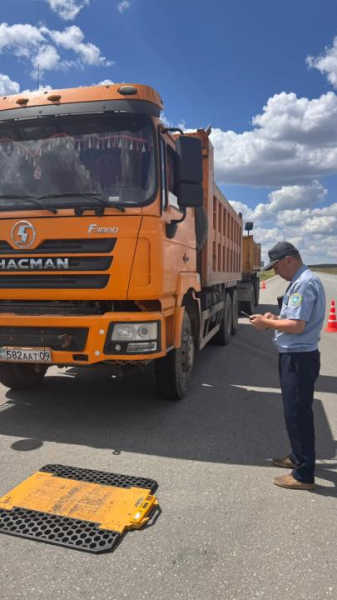 Почти 70% грузовиков с нарушениями: что выявили рейды в регионе