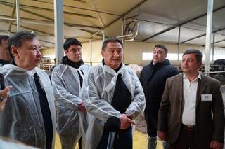 В Акмолинской области запустили современную молочную ферму на 400 голов