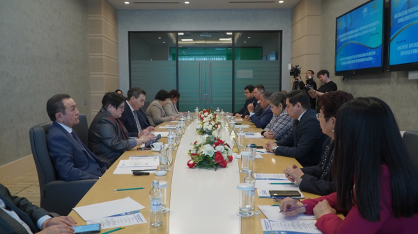 В Астане обсудили развитие института президентства