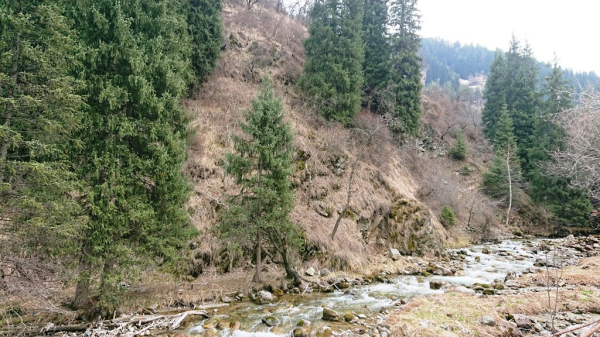 Казахстан 3 апреля ждут осадки, ветер и до +30