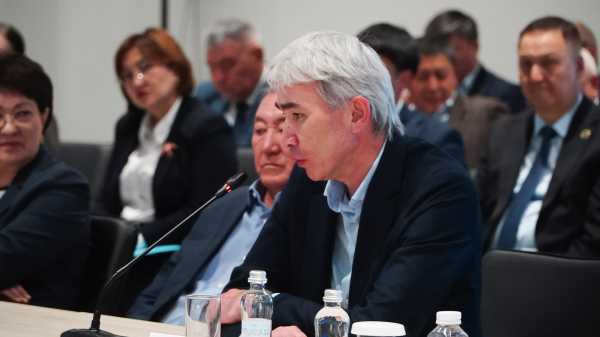 374 млрд тенге на село: кому и на что дадут деньги