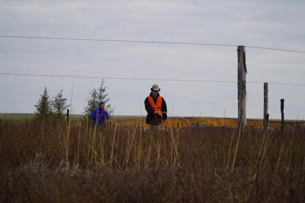 Аким Акмолинской области посетил лесопитомник в Шортандинском районе