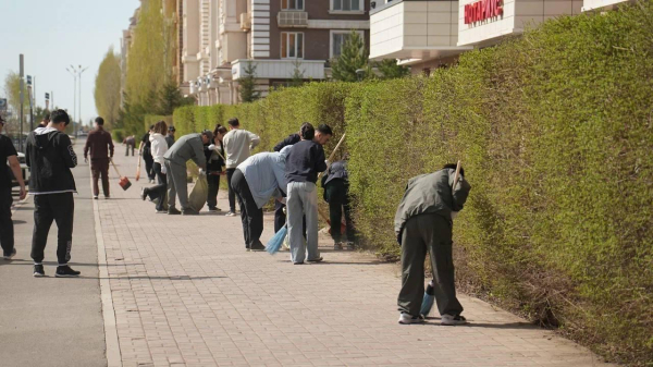 Экологическая активность казахстанцев резко выросла: какие результаты достигнуты