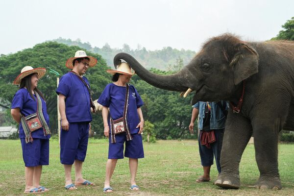 Падший ангел и лягушка с приветом: забавные фотоновости со всего света