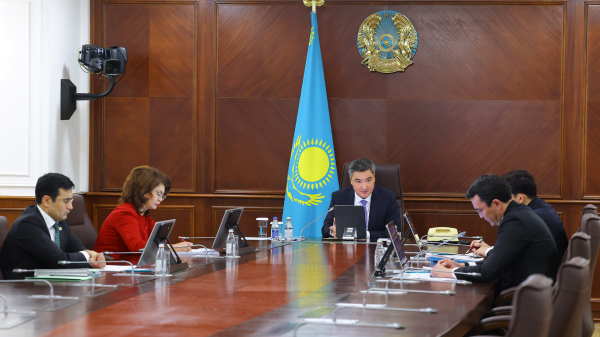 Новый туристический кластер Алматы: планы амбициозные, сроки &mdash; нет