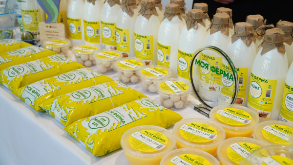 374 млрд тенге на село: кому и на что дадут деньги