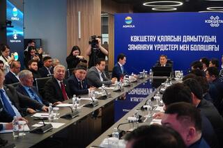 Представлен план развития г. Кокшетау до 2050 года Представлен план развития г. Кокшетау до 2050 года