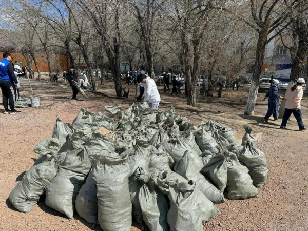 Балхаш отметил 89-летие масштабной экологической акцией