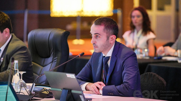 Сотрудничество ЕЭК с ЭСКАТО: ключевые моменты сессии