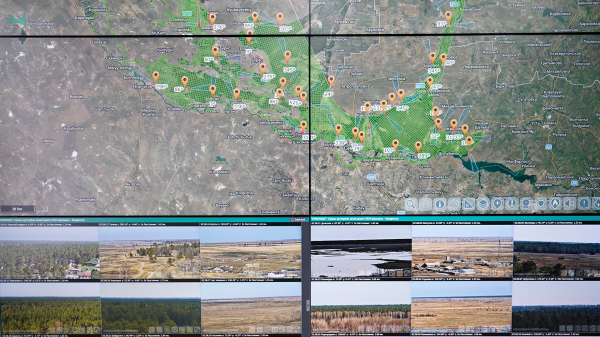 Видеомониторинг и ИИ: новые стандарты защиты лесов