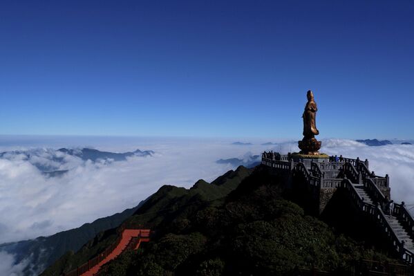 "Сердце" Арала, горбатые киты и леса Амазонки: фото к Международному дню Матери-Земли