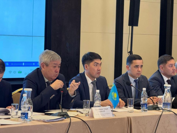 Центральная Азия усиливает энергетическую интеграцию Центральная Азия усиливает энергетическую интеграцию