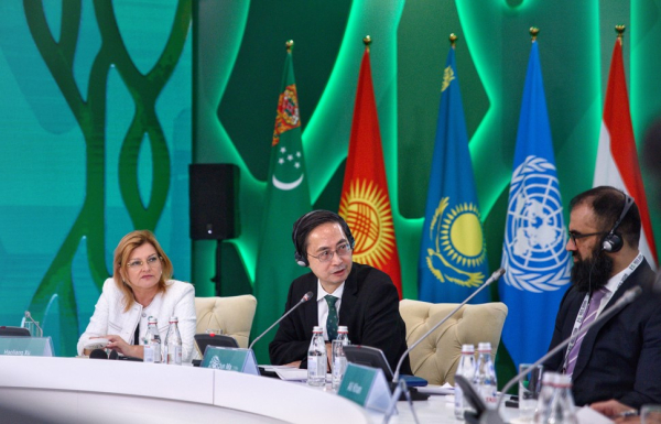 Климат как бизнес: новый курс Центральной Азии