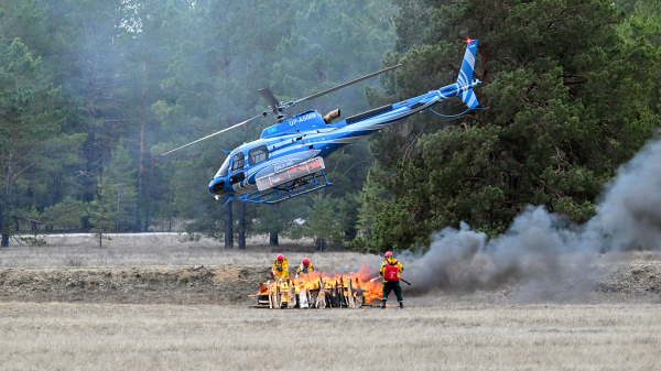 Видеомониторинг и ИИ: новые стандарты защиты лесов