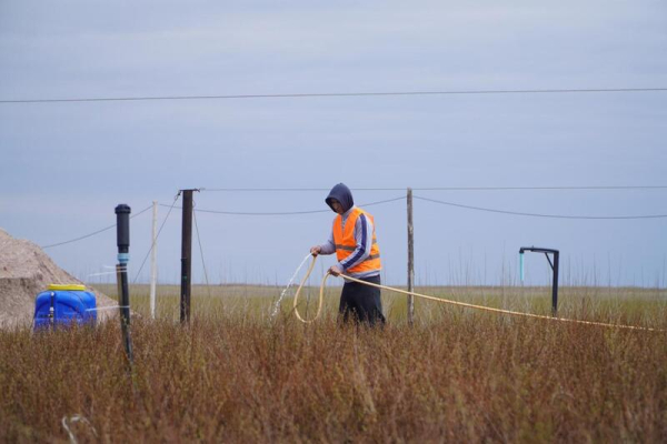 Аким Акмолинской области посетил лесопитомник в Шортандинском районе