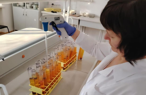 В Казахстане вывели новые засухоустойчивые сорта зерна