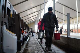 В Акмолинской области запустили современную молочную ферму на 400 голов