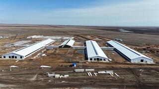 Аким Акмолинской области ознакомился с агропроектами региона Аким Акмолинской области ознакомился с агропроектами региона