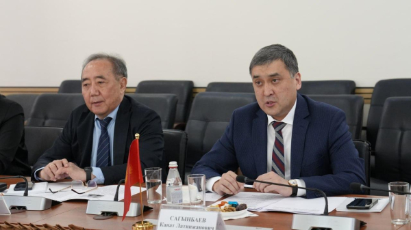 Казахстан и Кыргызстан усиливают сотрудничество в социально-трудовой сфере