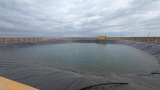 Аким Акмолинской области посетил лесопитомник в Шортандинском районе