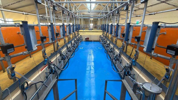 В Акмолинской области запустили современную молочную ферму на 400 голов