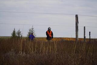 Аким Акмолинской области посетил лесопитомник в Шортандинском районе