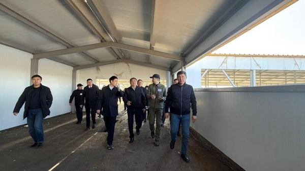 Аким Акмолинской области ознакомился с агропроектами региона Аким Акмолинской области ознакомился с агропроектами региона