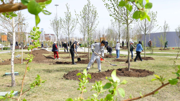 Акция &laquo;Таза Қазақстан&raquo;: более 980 тысяч человек приняли участие в субботнике