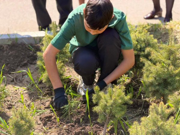 Экологическая акция &laquo;Одно дерево &ndash; вклад в будущее&raquo; прошла в Алматы