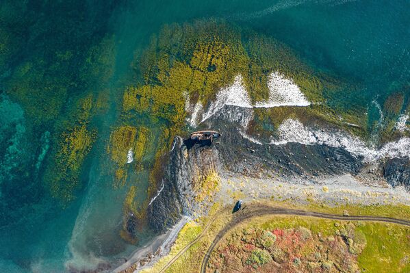 "Сердце" Арала, горбатые киты и леса Амазонки: фото к Международному дню Матери-Земли