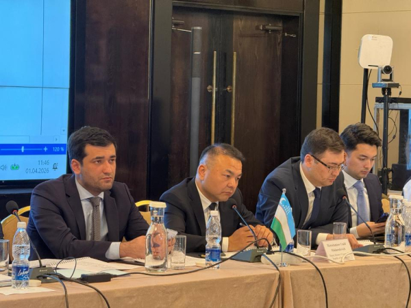 Центральная Азия усиливает энергетическую интеграцию Центральная Азия усиливает энергетическую интеграцию