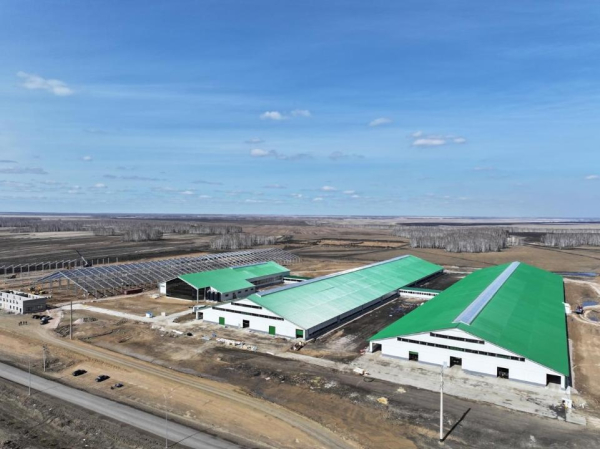 СКО укрепляет позиции в молочной индустрии Казахстана