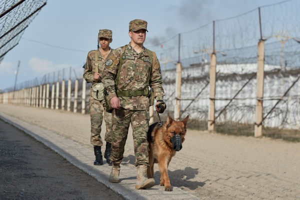 3357 нарушителей задержаны военнослужащими Национальной гвардии с начала года 3357 нарушителей задержаны военнослужащими Национальной гвардии с начала года