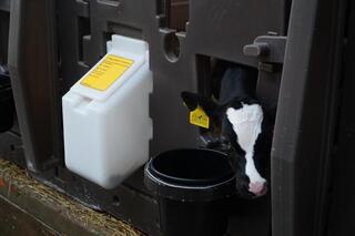 В Акмолинской области запустили современную молочную ферму на 400 голов