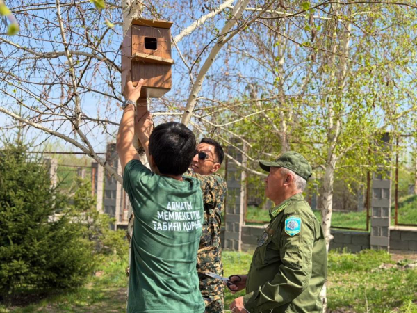 Экологическая акция &laquo;Одно дерево &ndash; вклад в будущее&raquo; прошла в Алматы
