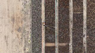 Аким Акмолинской области посетил лесопитомник в Шортандинском районе