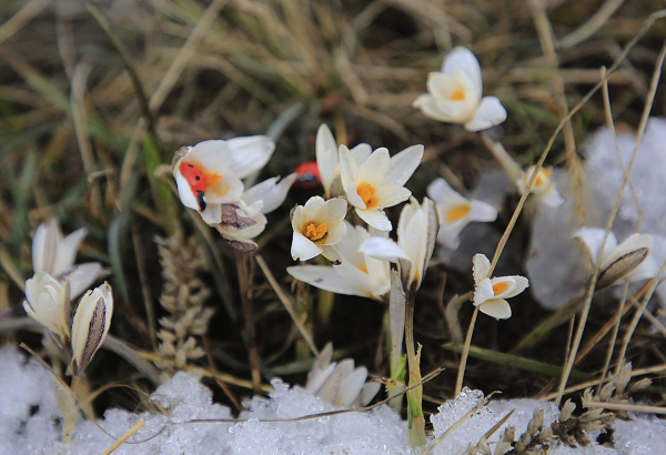 Какой сегодня праздник: 19 апреля 