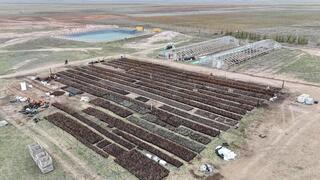 Аким Акмолинской области посетил лесопитомник в Шортандинском районе