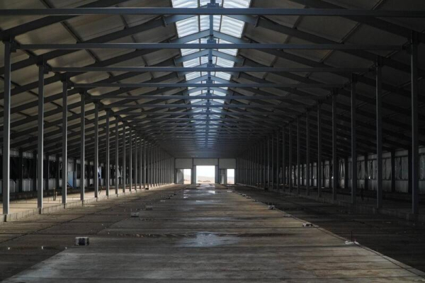 Аким Акмолинской области ознакомился с агропроектами региона Аким Акмолинской области ознакомился с агропроектами региона