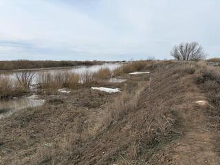 В селе Жибек жолы обеспечен безопасный пропуск паводковых вод