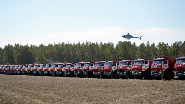 Видеомониторинг и ИИ: новые стандарты защиты лесов