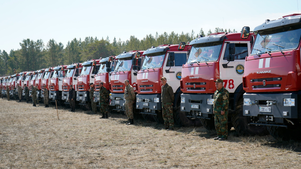 Видеомониторинг и ИИ: новые стандарты защиты лесов