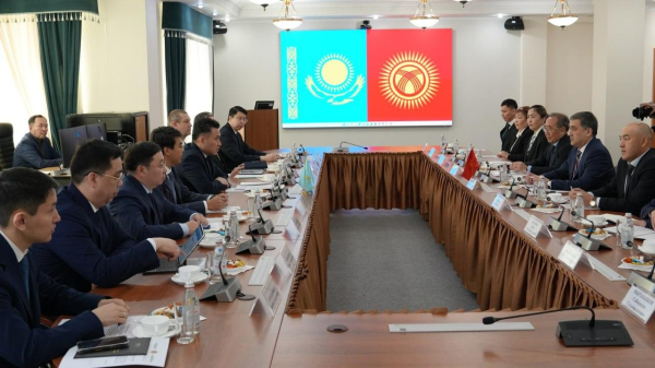 Казахстан и Кыргызстан усиливают сотрудничество в социально-трудовой сфере