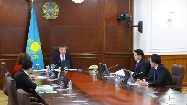 Новый туристический кластер Алматы: планы амбициозные, сроки &mdash; нет