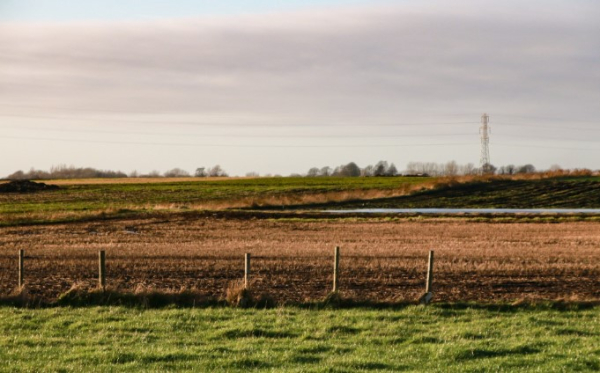 Как 13 фермеров получили тысячи гектаров земли Как 13 фермеров получили тысячи гектаров земли