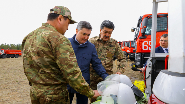 Видеомониторинг и ИИ: новые стандарты защиты лесов