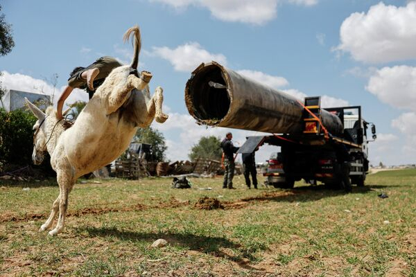 Ким Чен Ын в зоомагазине и "платье свободы": самые яркие кадры недели Ким Чен Ын в зоомагазине и "платье свободы": самые яркие кадры недели